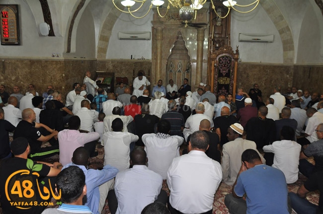 mahmoudiaya 3eda (48).JPG